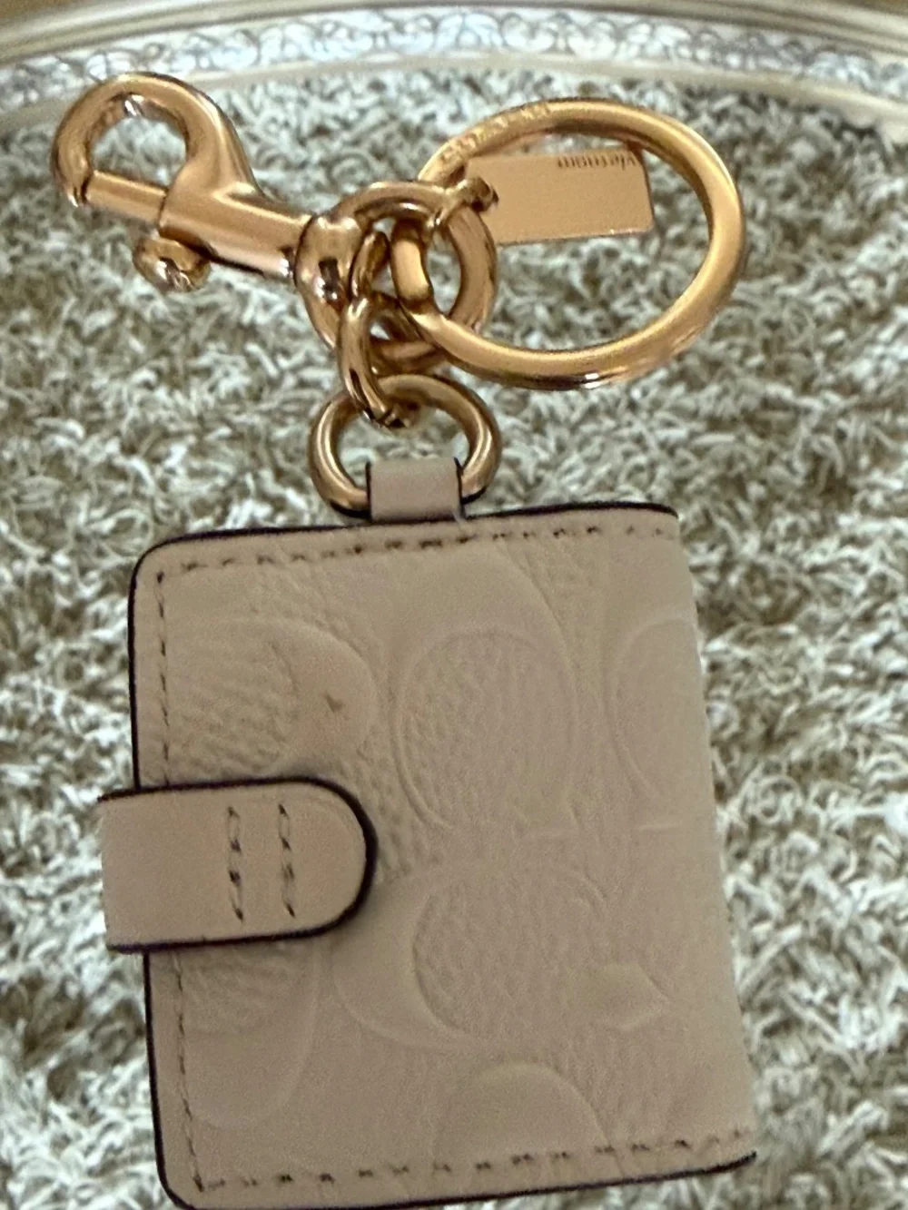 Coach Signature C Photo Book Bag Charm Keychain in Signature Canvas Chalk